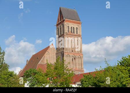 Marienkirche, Anklam, Mecklenburg-Vorpommern, Deutschland Stockfoto