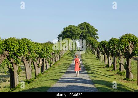 Die Frau im roten Kleid auf feston Avenue, gemeinsame Lime Tree, Lindenallee in der Nähe von Schloss Bothmer Klützer Winkel Stockfoto