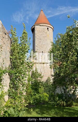 Stadtmauer mit Salwartenturm, Dinkelsbühl, Mittelfranken, Bayern, Deutschland Stockfoto