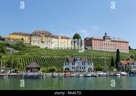 Statsweingut Meersburg, Weingarten, Bodensee, Baden-Württemberg, Deutschland Stockfoto