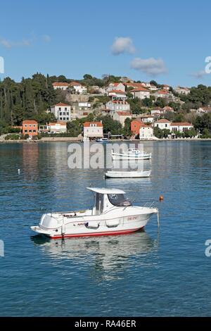 Boote, Küstenstadt Donje Celo, Kolocep Insel, Elaphiten, Dalmatien, Kroatien Stockfoto