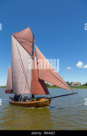 Zeesboot, Zeesbootregatta am Saaler Bodden, Wustrow, Fischland, Mecklenburg-Vorpommern, Deutschland Stockfoto