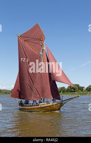 Zeesboot, Zeesbootregatta am Saaler Bodden, Wustrow, Fischland, Mecklenburg-Vorpommern, Deutschland Stockfoto