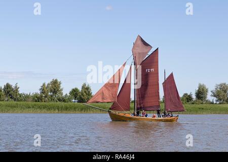 Zeesboot, Zeesbootregatta am Saaler Bodden, Wustrow, Fischland, Mecklenburg-Vorpommern, Deutschland Stockfoto