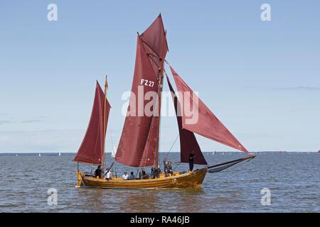 Zeesboot, Zeesbootregatta am Saaler Bodden, Wustrow, Fischland, Mecklenburg-Vorpommern, Deutschland Stockfoto