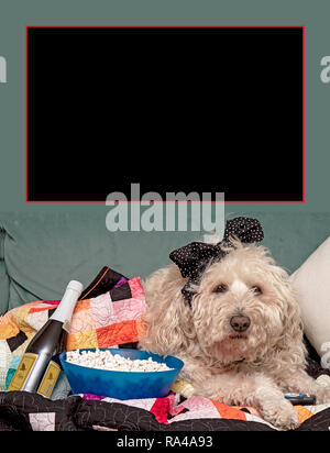 Shaggy Dog Fernsehen mit Snacks und Getränke zusammen mit Remote Stockfoto