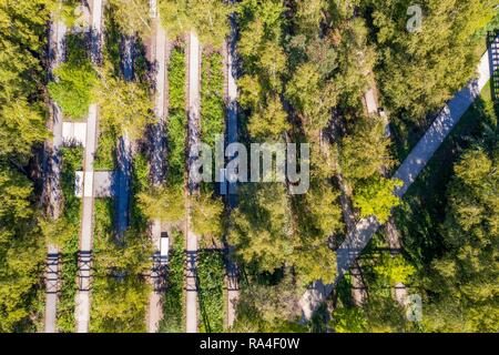 Weltkulturerbe Zeche Zollverein in Essen Zeche Zollverein Park, ehemaliger Gleis Boulevard, drone Aufnahme, Essen Stockfoto