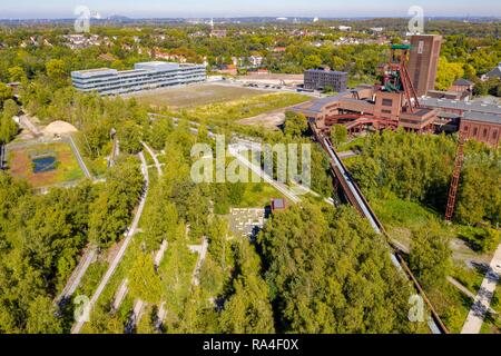 Weltkulturerbe Zeche Zollverein in Essen Zeche Zollverein Park, ehemaliger Gleis Boulevard, hintere Welle 1/2/8 und der Folkwang Hochschule Stockfoto