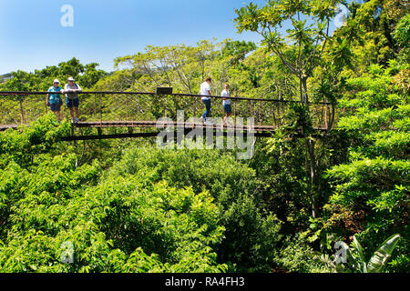 Besucher gehen auf der Canopy Walkway in Kirstenbosch National Botanical Garden in Kapstadt, Western Cape, Südafrika. Stockfoto