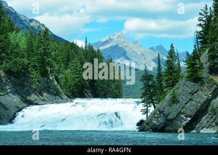 Bug fällt im Banff National Park, Alberta, Kanada. Stockfoto