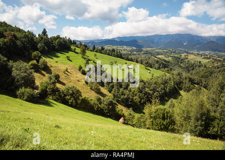 Ländliche Landschaft mit Haus und Heu Rollen in Siebenbürgen, Rumänien Stockfoto