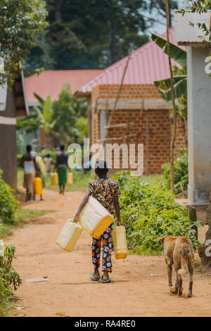 Frau, die Wasser in Entebbe, Uganda, trägt Stockfoto