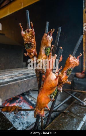 Spieß gebratenes Meerschweinchen, eine peruanische Delikatesse, an der neben heißen Kohlen in der Nähe zu sehen. Stockfoto