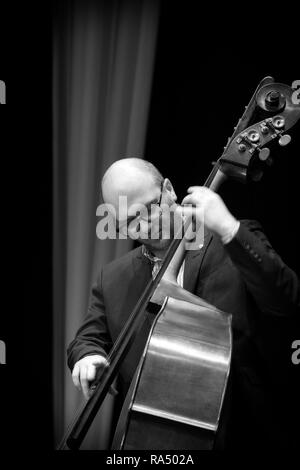 Sandy Suchodolski soloing am Kontrabass mit Klarinette Maestros, Scarborough Jazz Festival 2017 Stockfoto