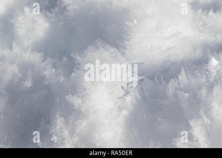 Natürliche Bild einer Ente in Snow Crystals geschnitzt Stockfoto