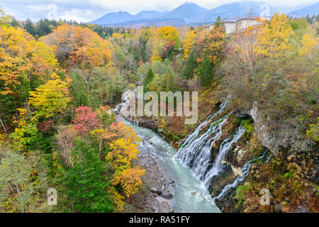 Shirahige Wasserfall im Herbst Wald, Biei, Hokkaido, Japan reisen Konzept Stockfoto