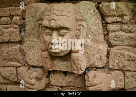 Eine Steinbildhauerei auf einem Krieger an der Dschungel Maya Ruinen in Honduras Stockfoto