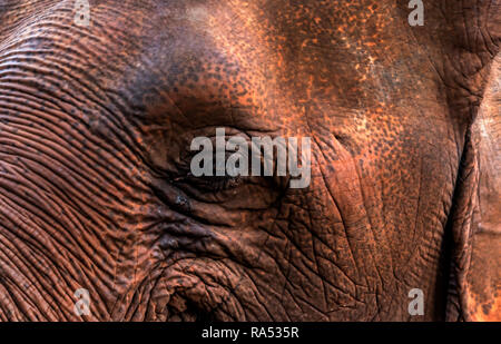 Vielseitiger Blick auf Thailand Stockfoto