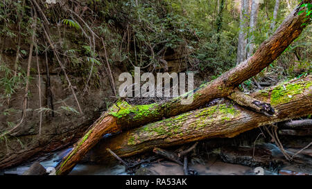 Vielseitiger Blick auf Thailand Stockfoto