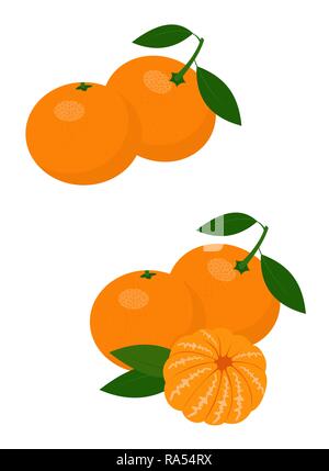 Mandarinen, Mandarine, Clementine mit Blättern auf weißem Hintergrund. Zitrusfrüchte. Vector Illustration Stock Vektor