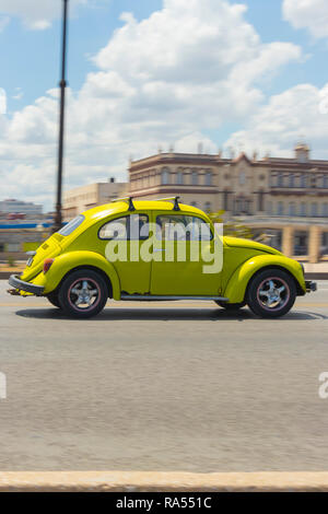 Klassische Lime Green VW Volkswagen Beetle Fahrt entlang der Halecon in Havanna, Kuba Stockfoto