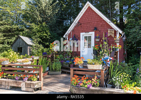 Ein kleines hölzernes Haus und Garten entlang der Promenade am Hammer Slough in Petersburg, Mitkof Insel, Alaska. Petersburg angesiedelt, die von norwegischen Immigranten Peter Buschmann ist so wenig Norwegen aufgrund der hohen Prozentsatz der Bevölkerung skandinavischer Herkunft bekannt. Stockfoto