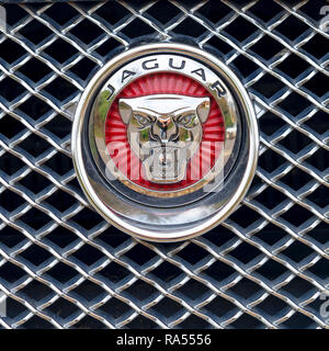 Jaguar Badge und Logo Stockfoto