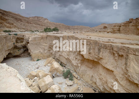 Eine tiefe trocken River Gorge schnitt in die trockene Sandstein durch Hochwasser. Das einzige Wasser, das fließt in das Tote Meer, Israel Stockfoto