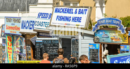 TENBY, Pembrokeshire, Wales - AUGUST 2018: Leute, die auf der Suche nach Zeichen und Informationen auf Angeltouren und Bootsfahrten durch lokale Boot Operatoren in Angeboten Stockfoto