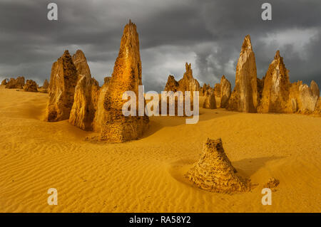 Antike Skulpturen des Pinnacle Wüste im Nambung Nationalpark. Stockfoto