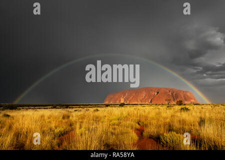Nur selten zu sehen, berühmten Uluru im Regen mit einem Regenbogen. Stockfoto