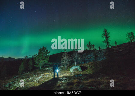 Person stehen unter der Aurora borealis/Northern Light mit einer Taschenlampe in der norwegischen Wald während der Nacht. Stockfoto