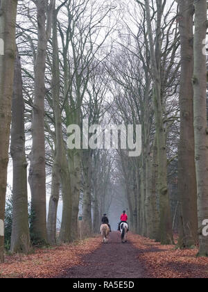 Leersum, Niederlande, 23. Dezember 2018: zwei Leute auf horsback auf Winter forest road in den Niederlanden der Utrechtse Heuvelrug in der Nähe von Utrecht Stockfoto