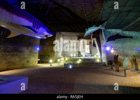 Theme Park Ausstellung im Kalksteinbruch Höhle in Fertorakos, Ungarn. Meerestiere, Fossilien des Miozän Ära. Stockfoto