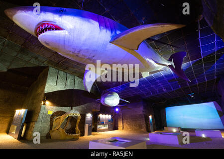 Theme Park Ausstellung im Kalksteinbruch Höhle in Fertorakos, Ungarn. Eine lebensgroße Megalodon und Megalodon backen. Stockfoto