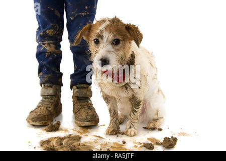 Dreckig HUND UND KIND. FUNNY JACK RUSSELL UND SEINEN KLEINEN EIGENTÜMER NACH DEM SPIEL IN ein SCHLAMMLOCH. Isolierte SHOT vor weißem Hintergrund Stockfoto