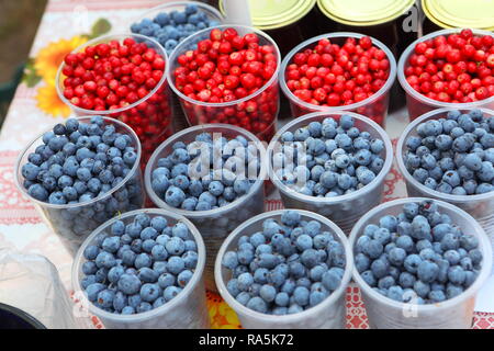 Blaubeeren und Preiselbeeren im Counter in Plastikbechern Stockfoto