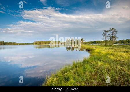 Ufer mit See, Breksjoen Jävrebyn, Lappland, Finnland Stockfoto