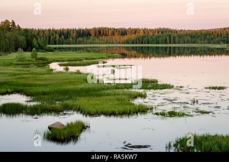 Sonnenuntergang am See, Kohlegruben, Gras, Feuchtgebiete, Kiantajaervi, Ruhtinansalmi, Lappland, Finnland Stockfoto