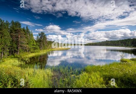 Himmel und Wolken im See, Wald, Tundra, Lappi, Finnland wider Stockfoto