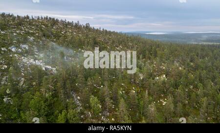 Drone schoß, boreal, Arktis Koniferen mit Nebel, Wald, Salla, Lappi, Finnland Stockfoto