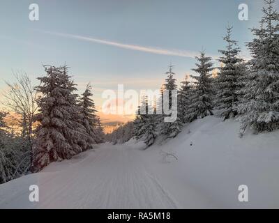 Winter Hintergrund der schneebedeckten Tannen in die Berge in der Tschechischen Republik mit blauem Himmel Stockfoto