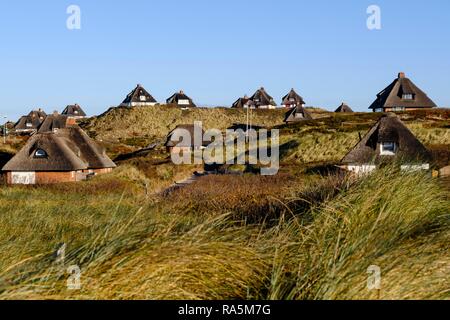 Typisch friesischen Häusern mit Strohdächern in den Dünen von Hörnum, Sylt, Nordfriesland, Schleswig-Holstein, Deutschland Stockfoto