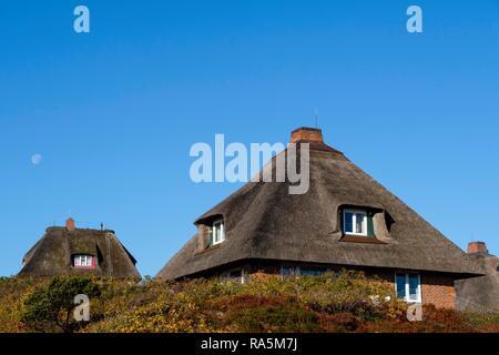 Typisch friesischen Häusern mit Strohdächern in den Dünen von Hörnum, Sylt, Nordfriesland, Schleswig-Holstein, Deutschland Stockfoto