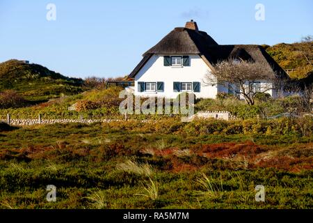 Typisch friesische Haus mit Strohdach in den Dünen von Hörnum, Sylt, Nordfriesland, Schleswig-Holstein, Deutschland Stockfoto