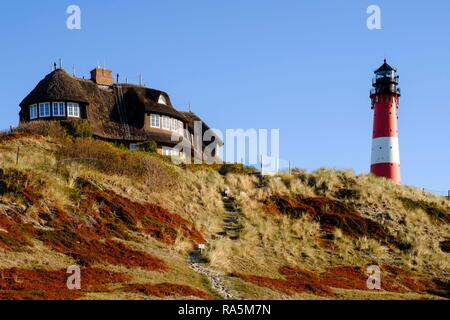 Typisch friesische Haus mit Reetdach und Leuchtturm in den Dünen von Hörnum, Sylt, Nordfriesland, Schleswig-Holstein Stockfoto