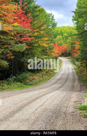 Straße durch Algonquin Provincial Park im Herbst, Indian Summer, Ontario, Kanada Stockfoto