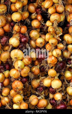 Rote und weiße Zwiebeln, zu Zöpfen gebunden, Zwiebel, Geflechte, Greding, Mittelfranken, Franken, Bayern, Deutschland Stockfoto