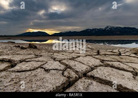 Risse, ausgetrockneten Boden mit kleinen Wasser- und Allgäuer Alpen im Hintergrund, Forggensee, Füssen, Ostallgäu, Bayern Stockfoto