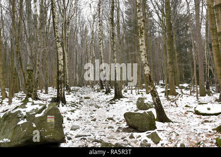 Wald Trail im Sleza Landschaftspark. Berg Sleza, Polen. Stockfoto